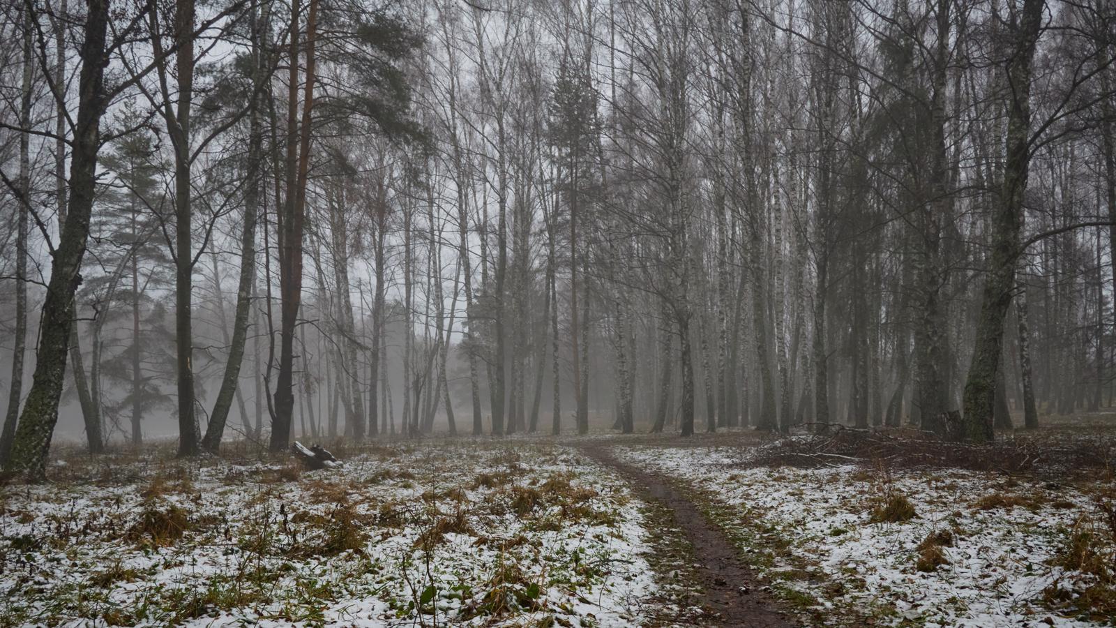 Cуществование предшествует сущности
